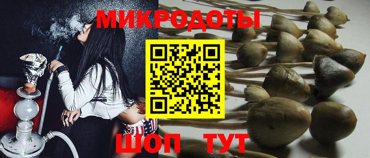 Псилоцибиновые грибы прущие грибы Кудрово